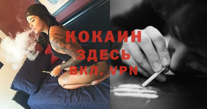 КОКАИН FishScale  Каргат 