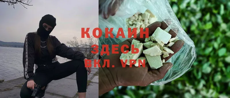 КОКАИН Fish Scale Каргат